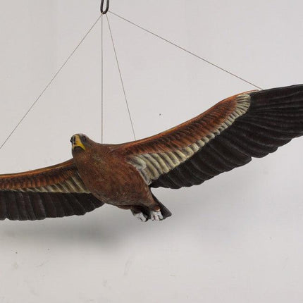Wedge Tailed Eagle Life Size Statue - LM Treasures 