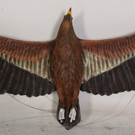 Wedge Tailed Eagle Life Size Statue - LM Treasures 