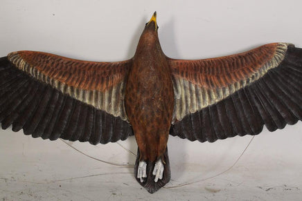 Wedge Tailed Eagle Life Size Statue - LM Treasures 