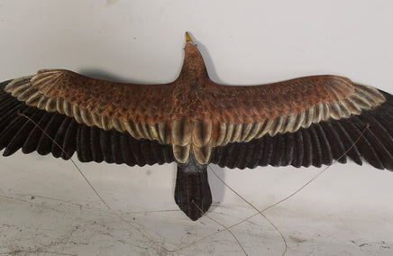 Wedge Tailed Eagle Life Size Statue - LM Treasures 