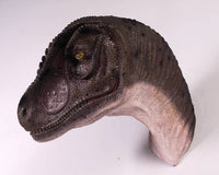 Allosaurus Dinosaur Head Life Size Statue - LM Treasures 