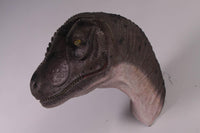 Allosaurus Dinosaur Head Life Size Statue - LM Treasures 