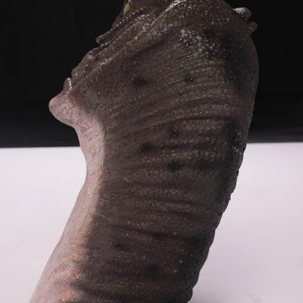 Allosaurus Dinosaur Head Life Size Statue - LM Treasures 