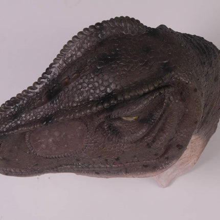 Allosaurus Dinosaur Head Life Size Statue - LM Treasures 