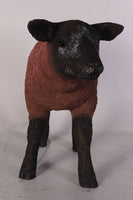 Brown Baby Texelaar Lamb Life Size Statue - LM Treasures 