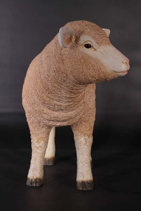 Merino Lamb Life Size Statue - LM Treasures 