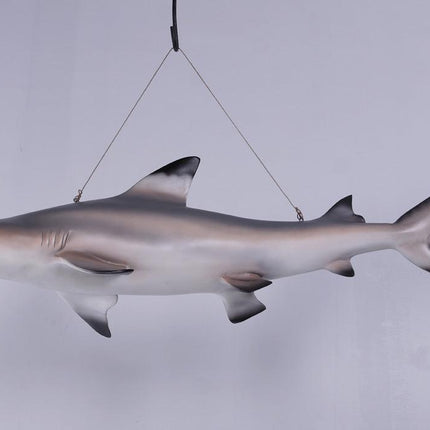 Black Tip Shark Statue - LM Treasures 