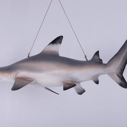 Black Tip Shark Statue - LM Treasures 