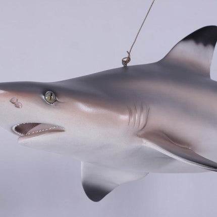 Black Tip Shark Statue - LM Treasures 