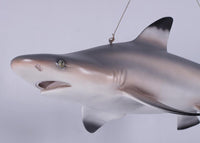 Black Tip Shark Statue - LM Treasures 