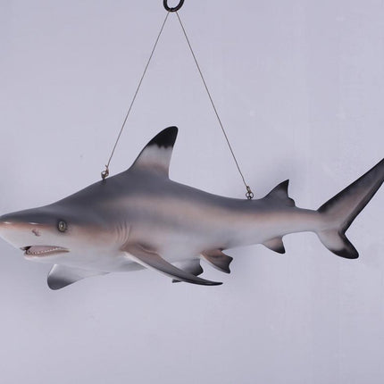 Black Tip Shark Statue - LM Treasures 