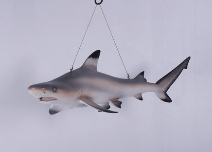 Black Tip Shark Statue - LM Treasures 