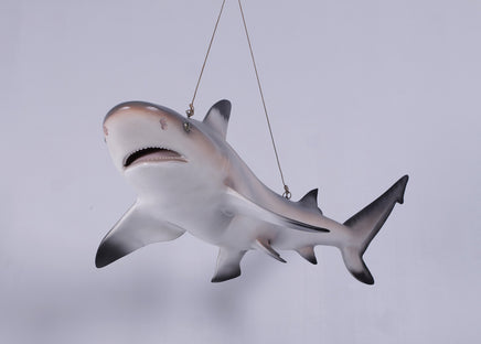 Black Tip Shark Statue - LM Treasures 