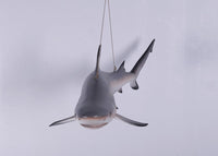 Black Tip Shark Statue - LM Treasures 