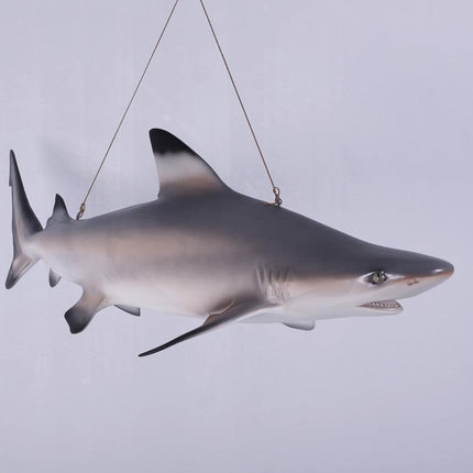 Black Tip Shark Statue - LM Treasures 