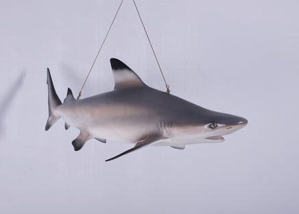 Black Tip Shark Life Size Statue - LM Treasures 