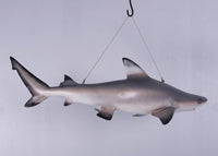 Black Tip Shark Statue - LM Treasures 