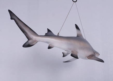 Black Tip Shark Statue - LM Treasures 