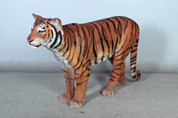 Sumatran Tiger Life Size Statue - LM Treasures 