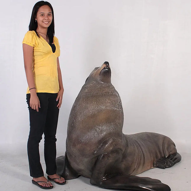 Sea Lion Male Fur Seal Life Size Statue LM Treasures - H