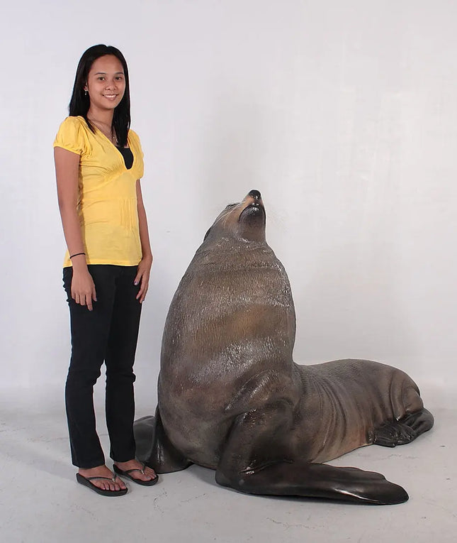Sea Lion Male Fur Seal Life Size Statue LM Treasures - H