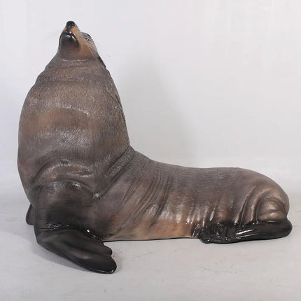 Sea Lion Male Fur Seal Life Size Statue LM Treasures - H