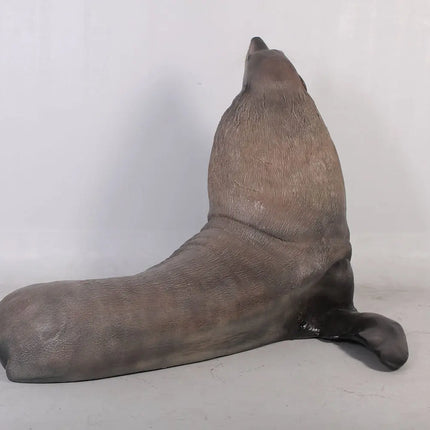 Sea Lion Male Fur Seal Life Size Statue LM Treasures - H