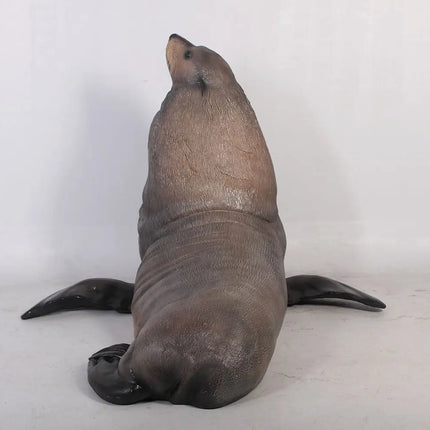 Sea Lion Male Fur Seal Life Size Statue LM Treasures - H