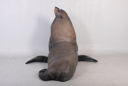 Sea Lion Male Fur Seal Life Size Statue - LM Treasures 