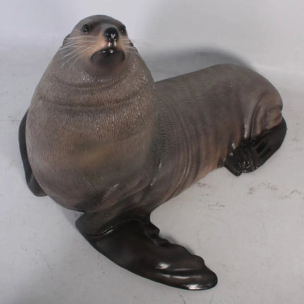 Sea Lion Male Fur Seal Life Size Statue LM Treasures - H