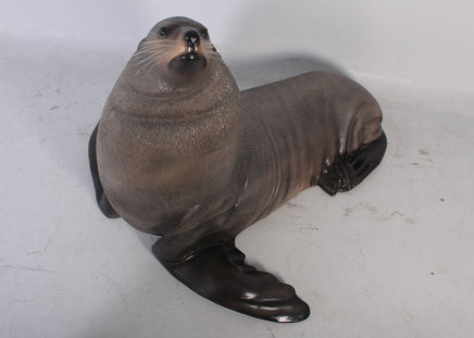 Sea Lion Male Fur Seal Life Size Statue - LM Treasures 