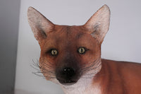 Red Fox Life Size Statue - LM Treasures 