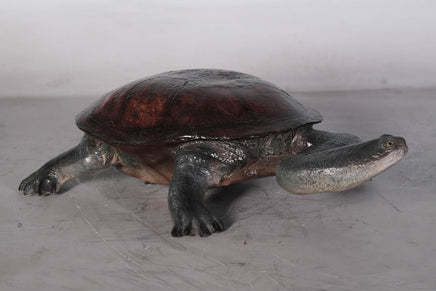 Long Neck Turtle Life Size Statue - LM Treasures 