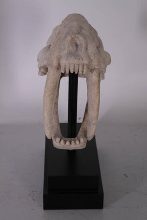 Saber Tooth Tiger Skull Life Size Statue - LM Treasures 