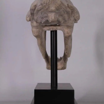 Saber Tooth Tiger Skull Life Size Statue LM Treasures - H