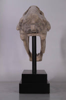 Saber Tooth Tiger Skull Life Size Statue - LM Treasures 