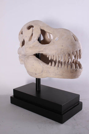 T-Rex Dinosaur Skull Life Size Statue - LM Treasures 