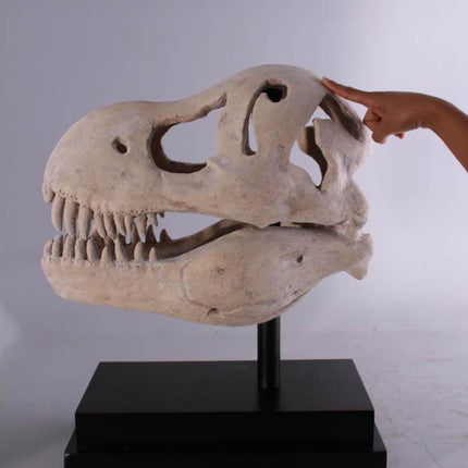T-Rex Dinosaur Skull Life Size Statue - LM Treasures 