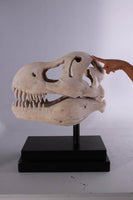 T-Rex Dinosaur Skull Life Size Statue - LM Treasures 