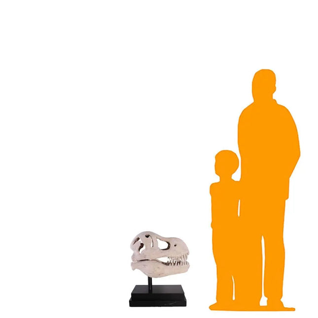 T-Rex Dinosaur Skull Life Size Statue LM Treasures - H