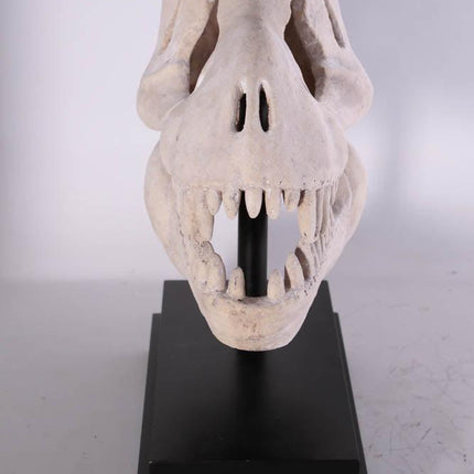 T-Rex Dinosaur Skull Life Size Statue - LM Treasures 