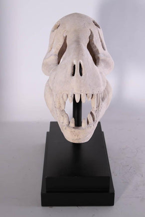 T-Rex Dinosaur Skull Life Size Statue - LM Treasures 