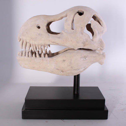 T-Rex Dinosaur Skull Life Size Statue - LM Treasures 