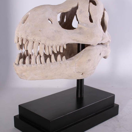 T-Rex Dinosaur Skull Life Size Statue - LM Treasures 