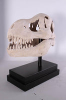 T-Rex Dinosaur Skull Life Size Statue - LM Treasures 