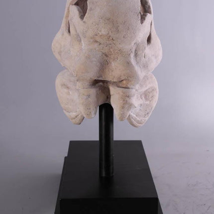 T-Rex Dinosaur Skull Life Size Statue - LM Treasures 
