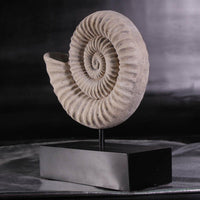 Spiral Fossil Shell Life Size Statue - LM Treasures 