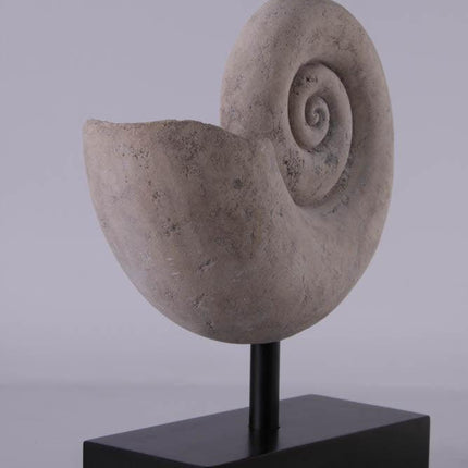 Nautilus Fossil Shell Life Size Statue - LM Treasures 