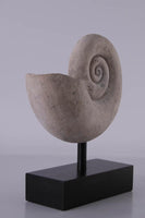 Nautilus Fossil Shell Life Size Statue - LM Treasures 