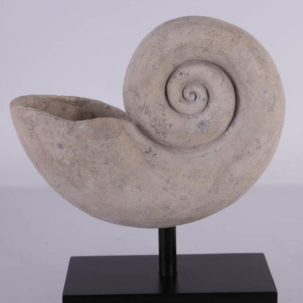 Nautilus Fossil Shell Life Size Statue - LM Treasures 